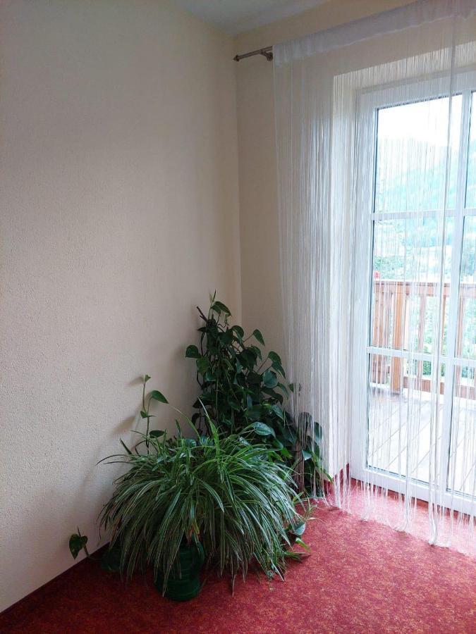 Appartements - Haus Sieberer 布利克森塔勒 外观 照片
